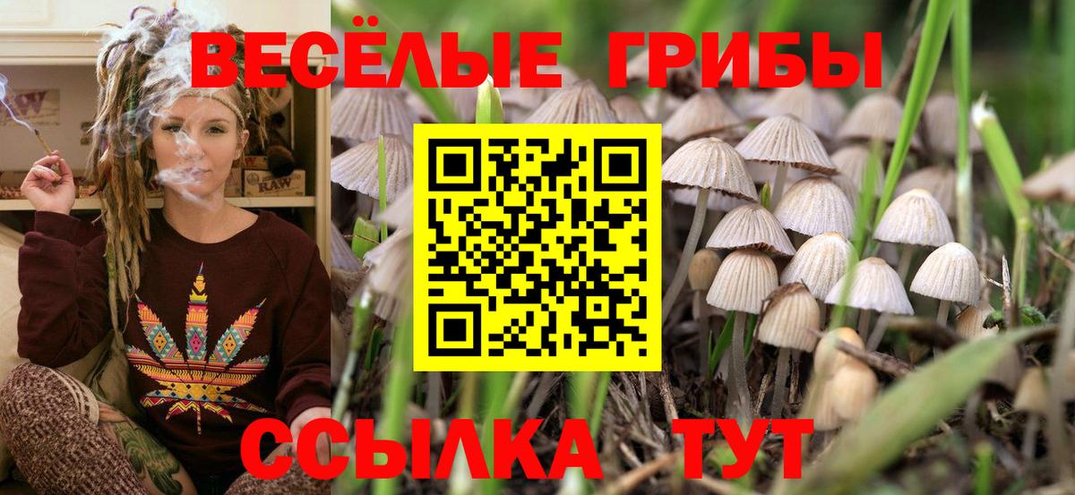 Галлюциногенные грибы Magic Shrooms  Галлюциногенные грибы мухоморы  Вход с VPN  Краснознаменск 